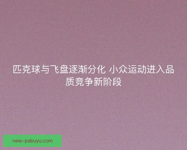 匹克球与飞盘逐渐分化 小众运动进入品质竞争新阶段
